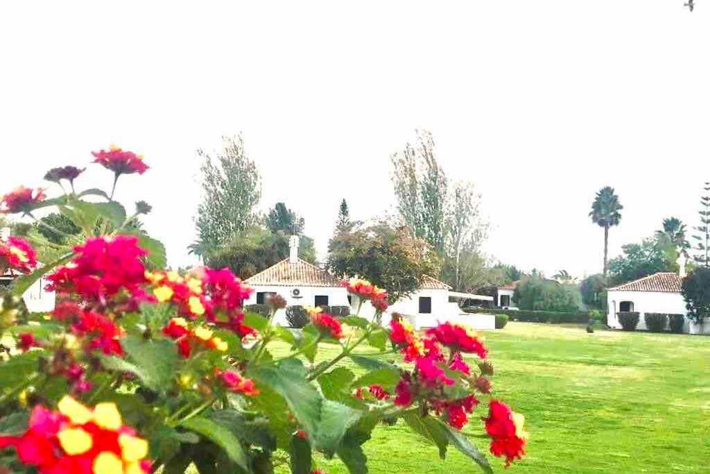 Cozy Beach House Santa Luzia  Zewnętrze zdjęcie